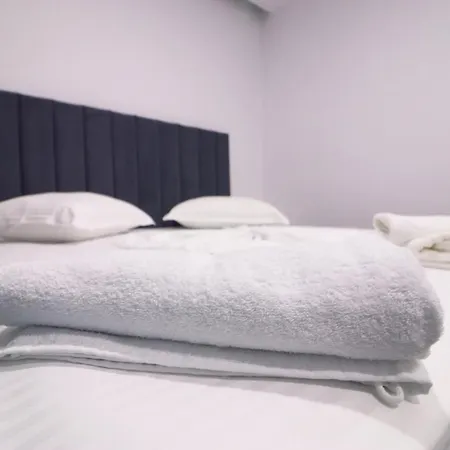 酒店 Memi 博尔什